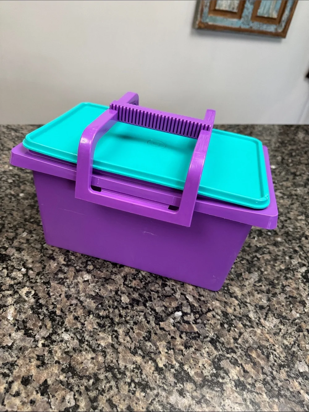 Tupperware Purple Container with Teal Lid and handle